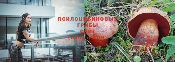 марки lsd Новодвинск