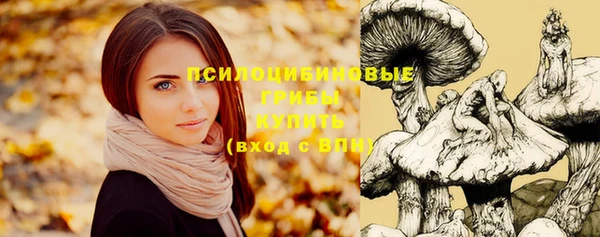 ГАЛЛЮЦИНОГЕННЫЕ ГРИБЫ Бежецк