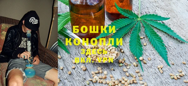 сатива Нефтегорск