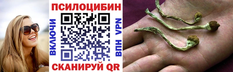 Псилоцибиновые грибы Psilocybe  Северодвинск 