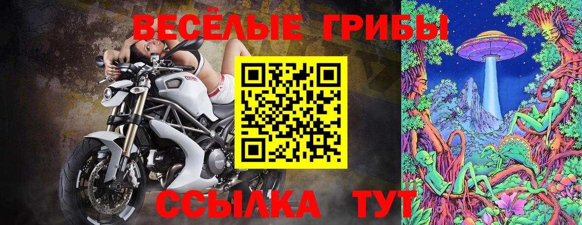 Псилоцибиновые грибы Cubensis Северодвинск