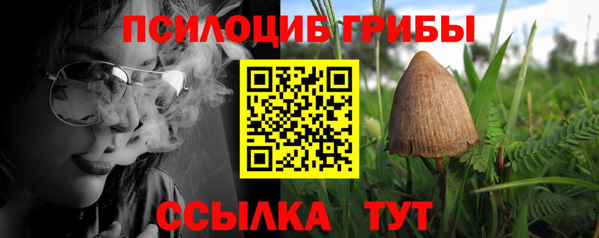 Галлюциногенные грибы GOLDEN TEACHER  Псилоцибиновые грибы Psilocybe  Вход с VPN  Северодвинск 