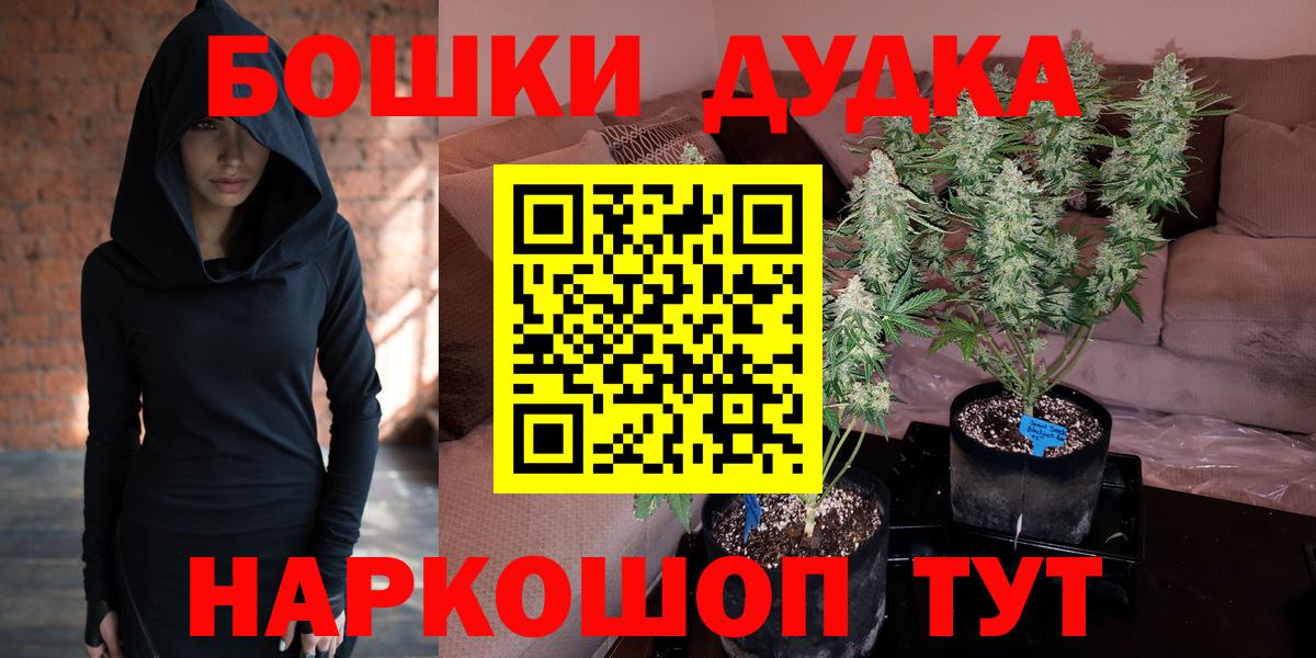 Шишки марихуана ГИДРОПОН  Северодвинск  Каннабис White Widow  Конопля White Widow 